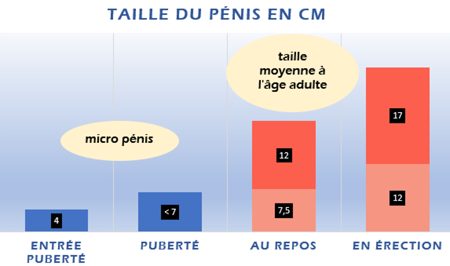 taille micro pénis diagnostic